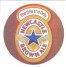 Newcastle Brown Ale