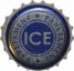Parlament ICE